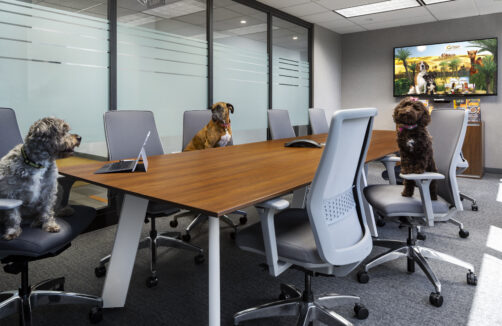 Dogs sitting in office chairs around a conference table inside the renovated Nature’s Variety headquarters in St. Louis, showcasing a collaborative, pet-friendly workspace design.