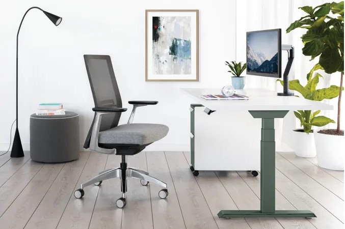 Modern office workspace with an ergonomic chair, height-adjustable desk, monitor arm, mobile storage cabinet, and indoor plants.