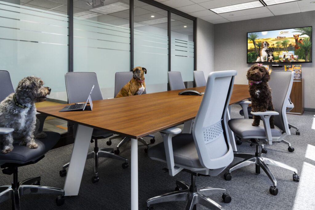 Glass-walled conference room with dogs and wood meeting table and ergonomic office chairs