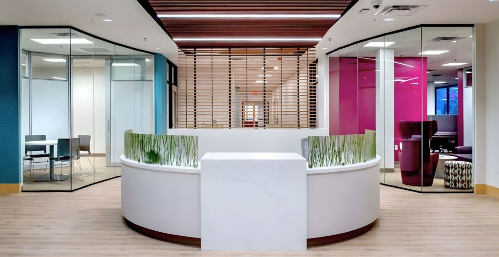 Modern office reception area with a white desk, wood slat ceiling, greenery, and magenta accent wall